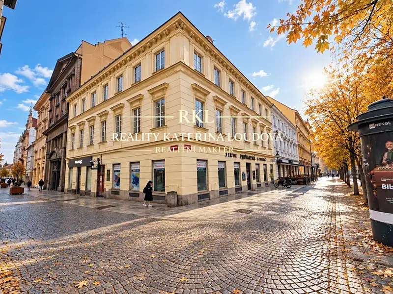 Pronájem komerčního prostoru, 75 m², Plzeň-město, Plzeň